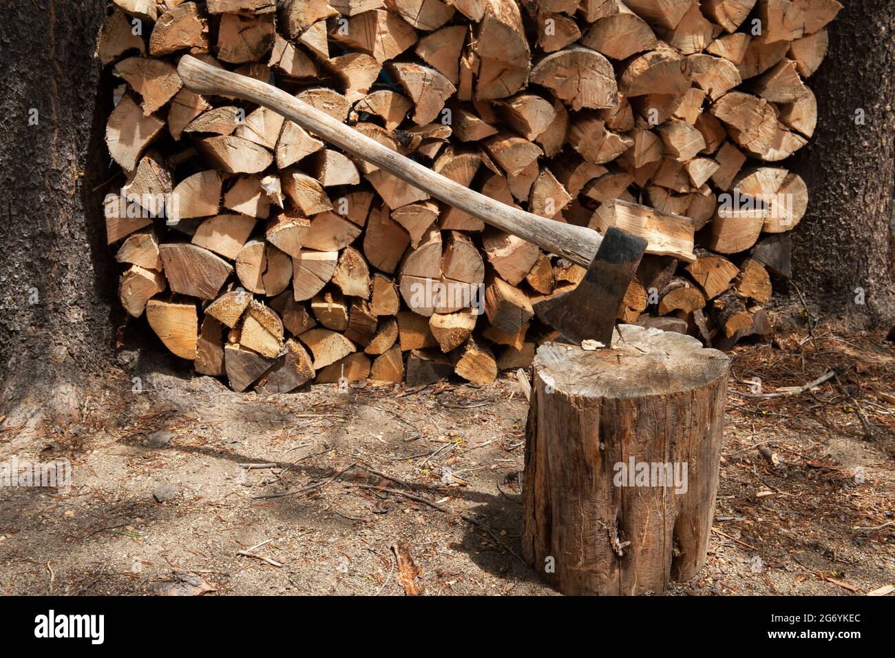 Axe, chopping block and firewood stacked between trees Stock Photo