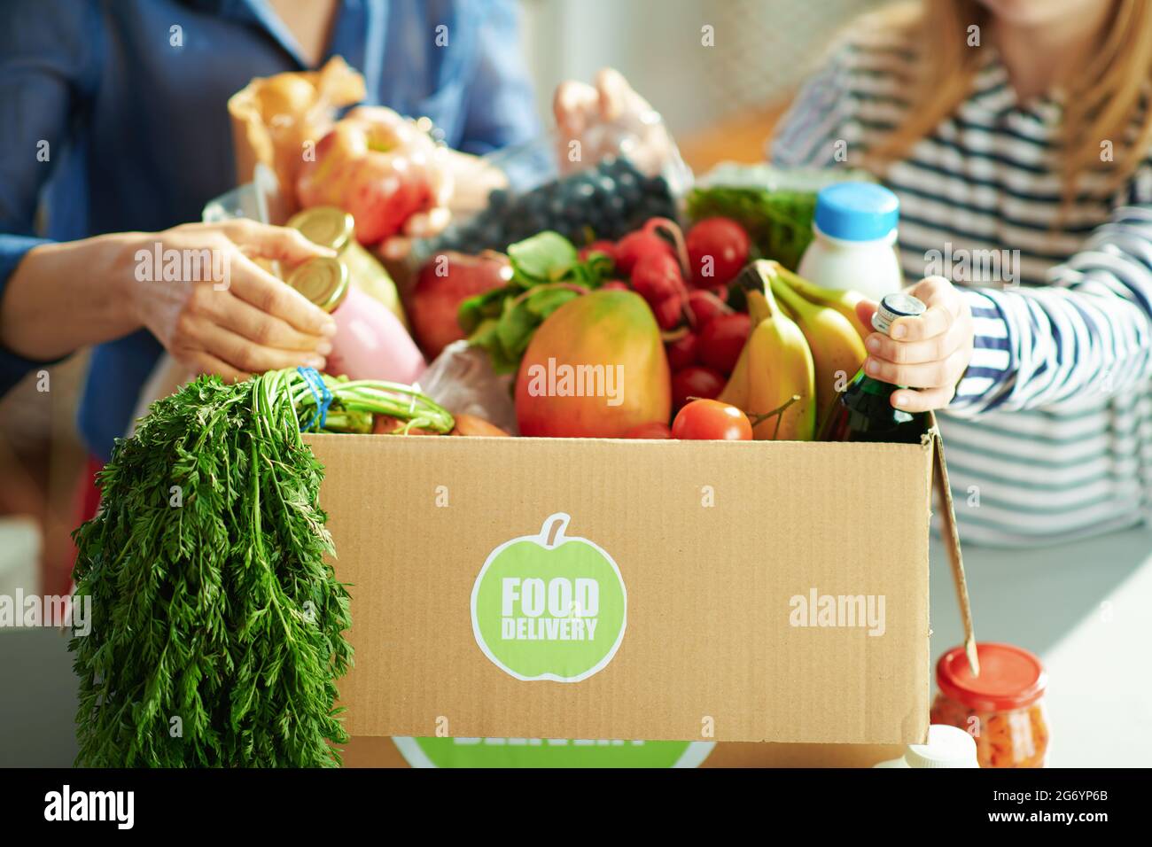 Food delivery. Closeup on mother and daughter with food box in the