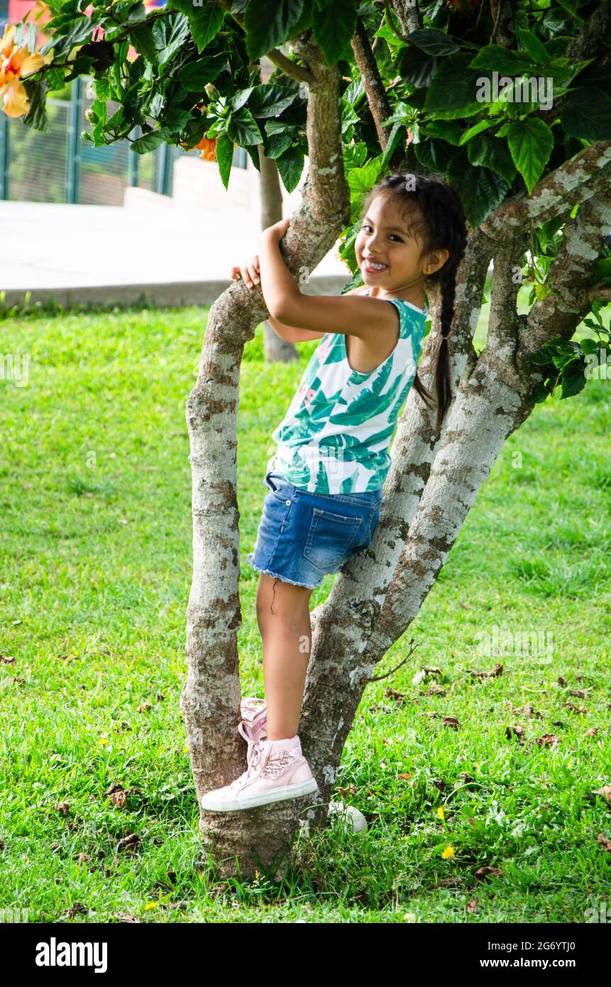 Cute little girl is playing in the park climbing on a tree Stock Photo ...