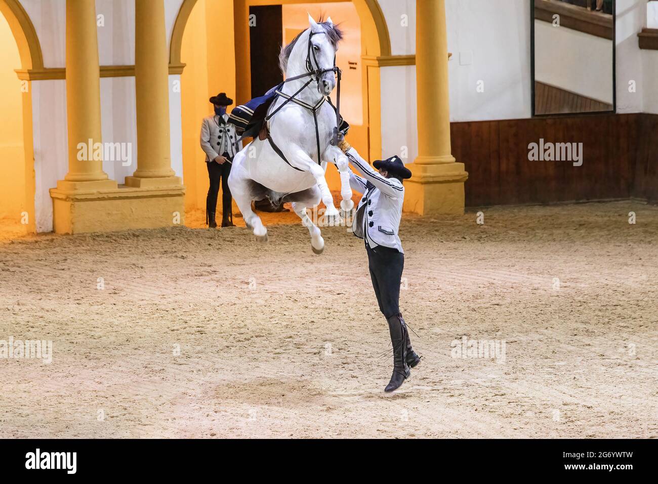 Jerez de la Frontera, Cadiz, Spain - June 17, 2021: Riders dressed with traditional dress show a white horse dance of purebred executing a jump as a s Stock Photo