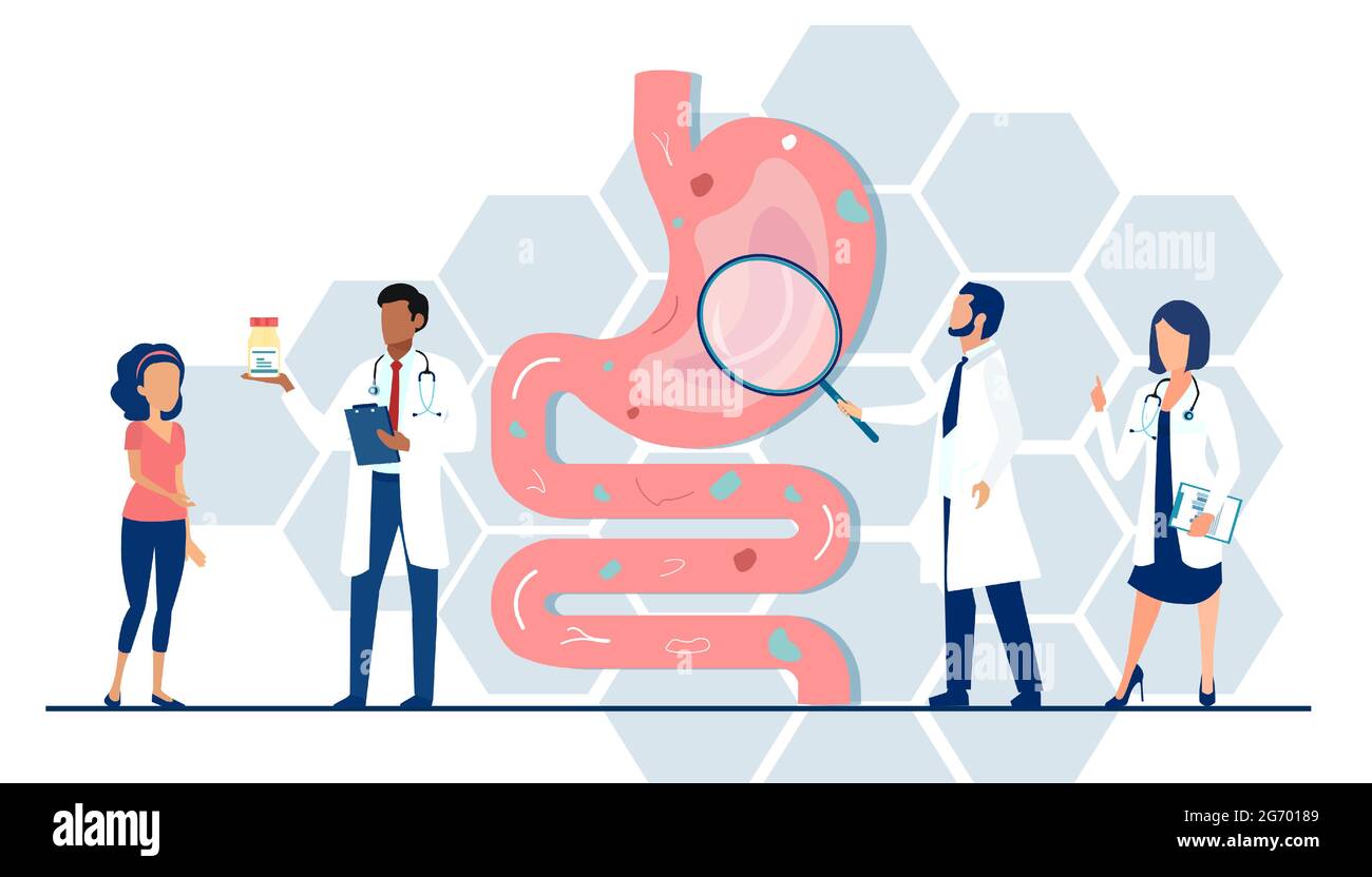 Vector of a medical team doctors examining gastrointestinal tract and digestive system giving advice to a patient Stock Vector