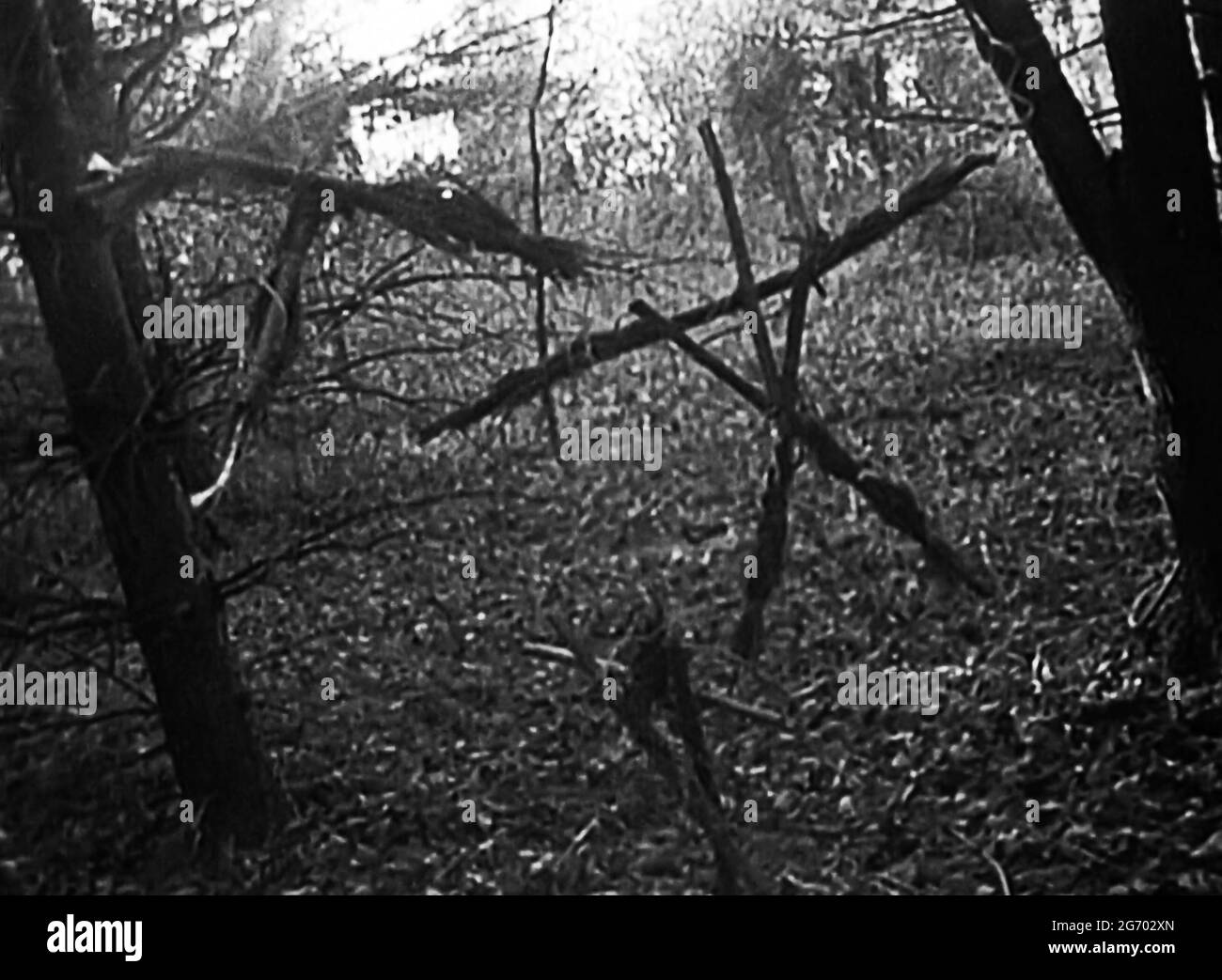 USA. A scene from the (C)Artisan Entertainment movie: The Blair Witch ...