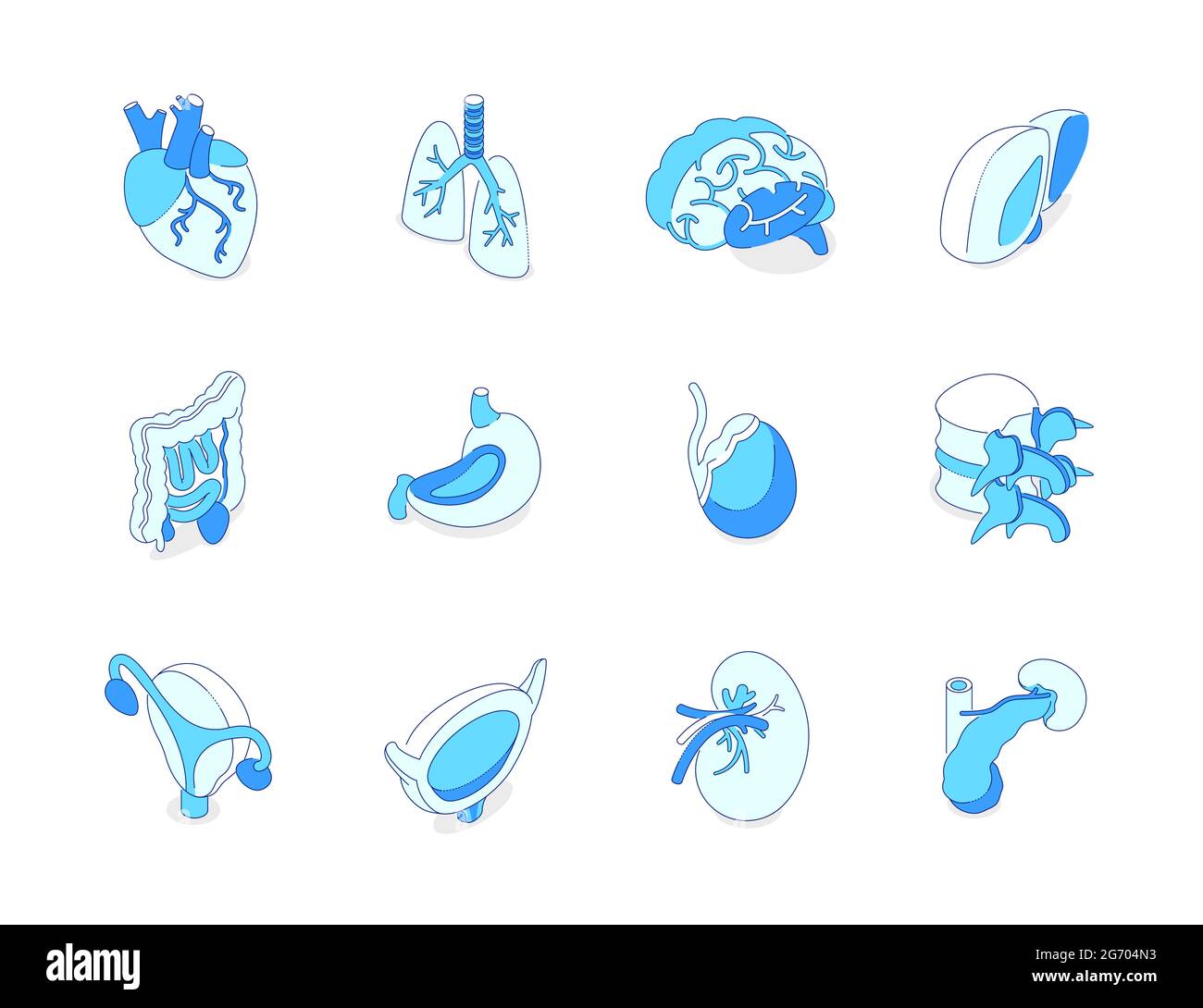 Human internal organs - modern isometric icons set on white background. Healthcare and medical, anatomy idea. Heart, lungs, brain, liver, stomach, bla Stock Vector