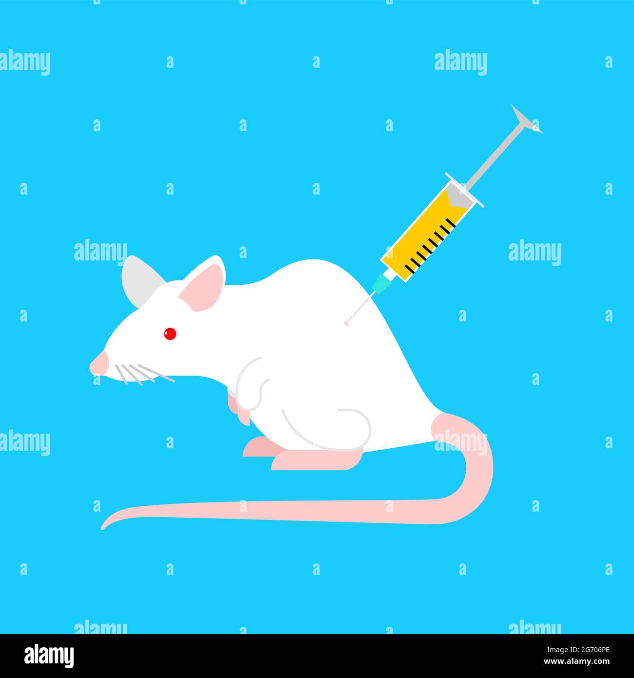 White laboratory mouse and syringe. Laboratory research Stock Vector Image  & Art - Alamy