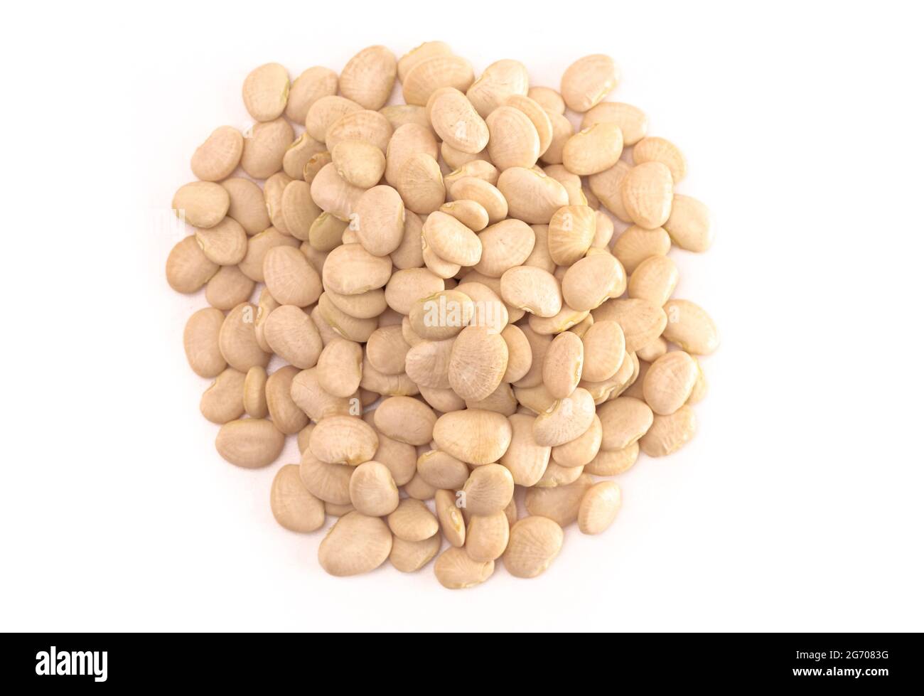 A Pile of Baby Lima Beans or Butter Beans Isolated on a White