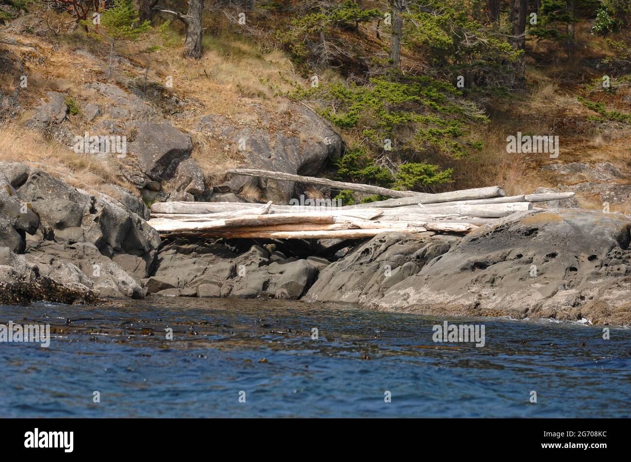 Driftwood on San Juan Island Stock Photo