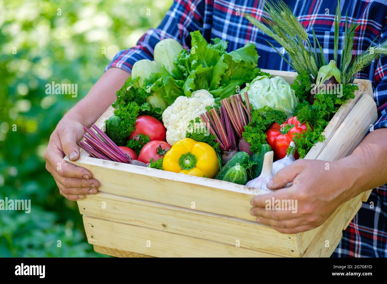 Farmer holding wooden box full of fresh vegetables in his hands. Close ...