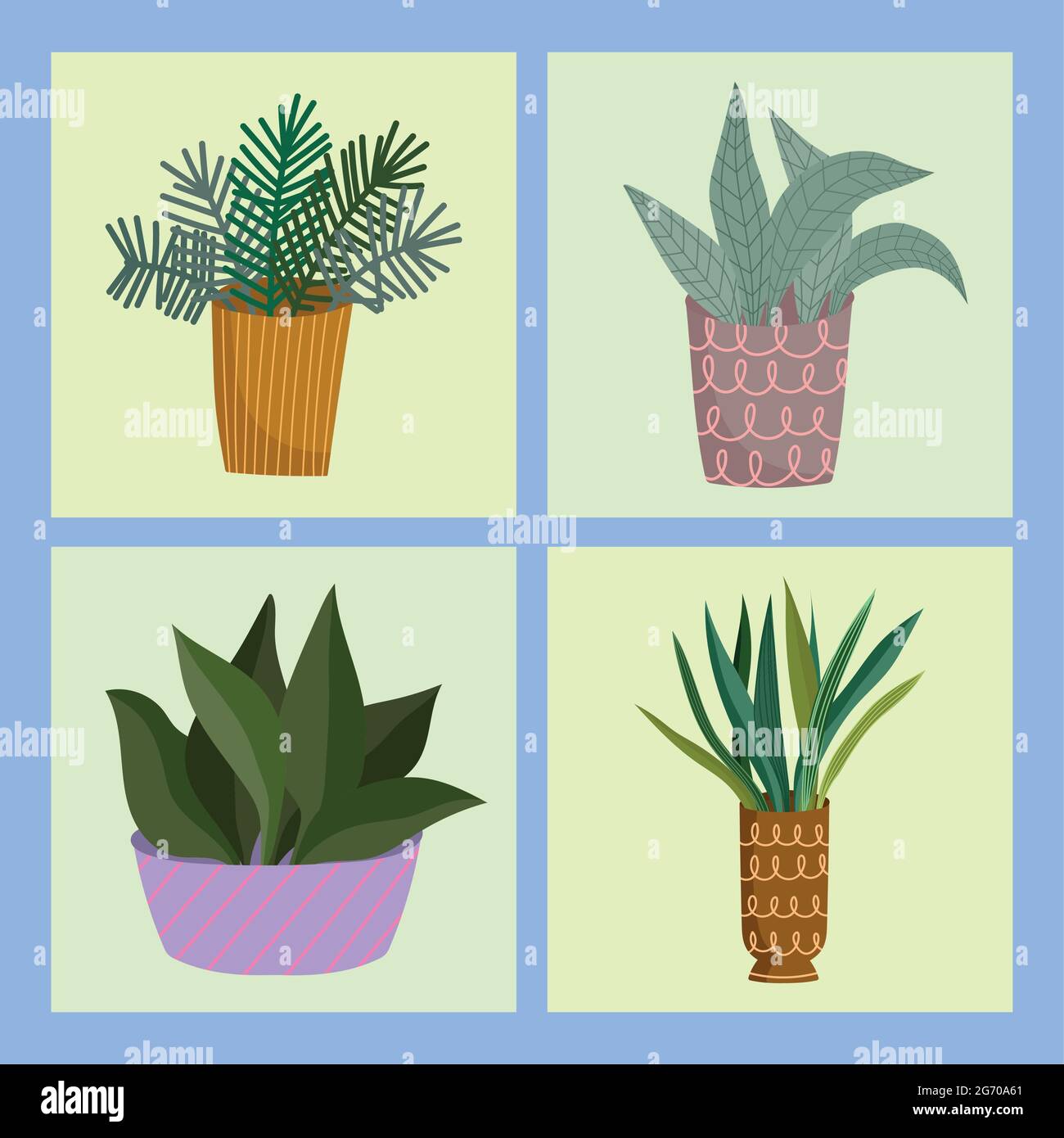 set of houseplants Stock Vector Image & Art - Alamy