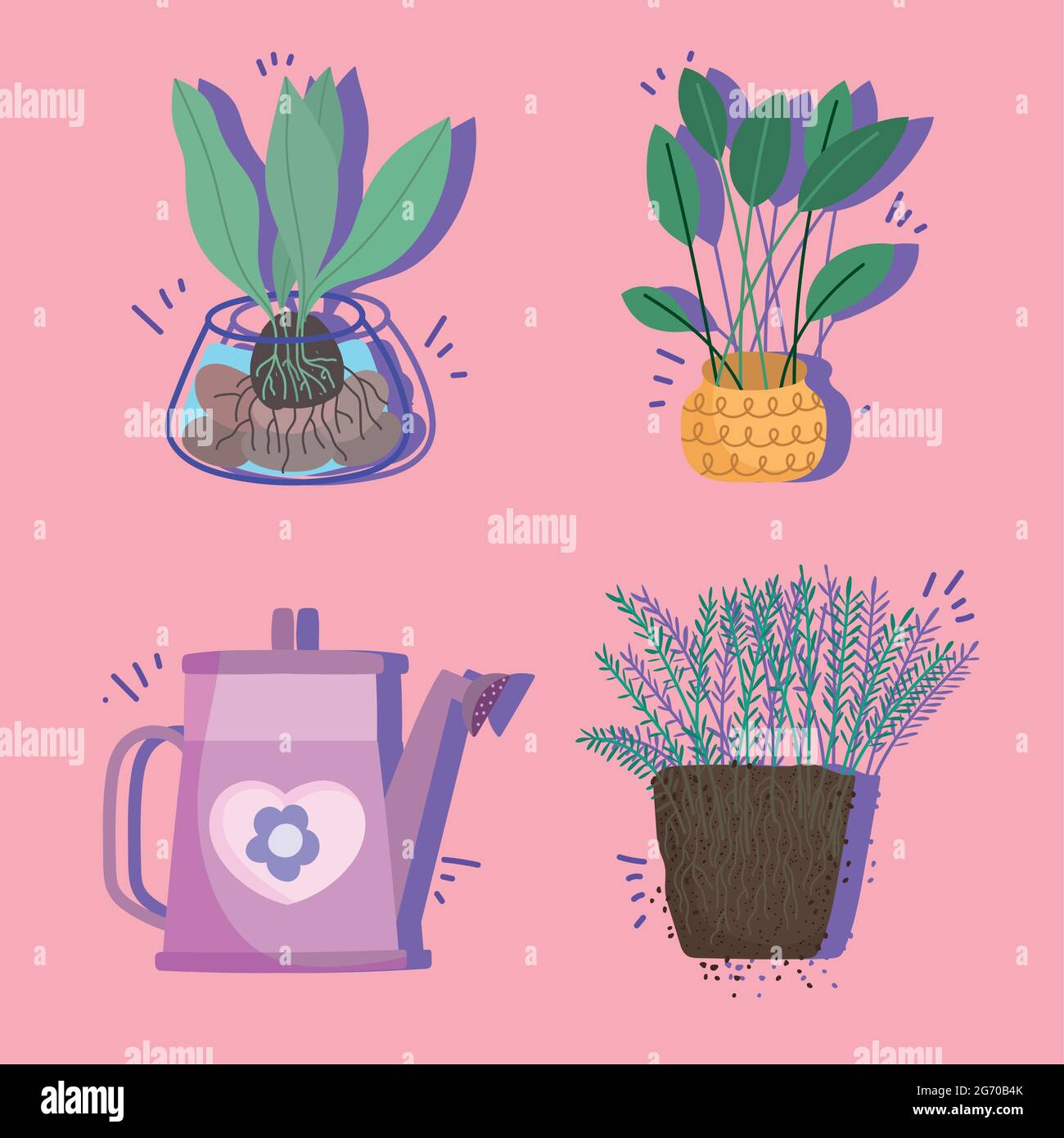 home plants set Stock Vector Image & Art - Alamy