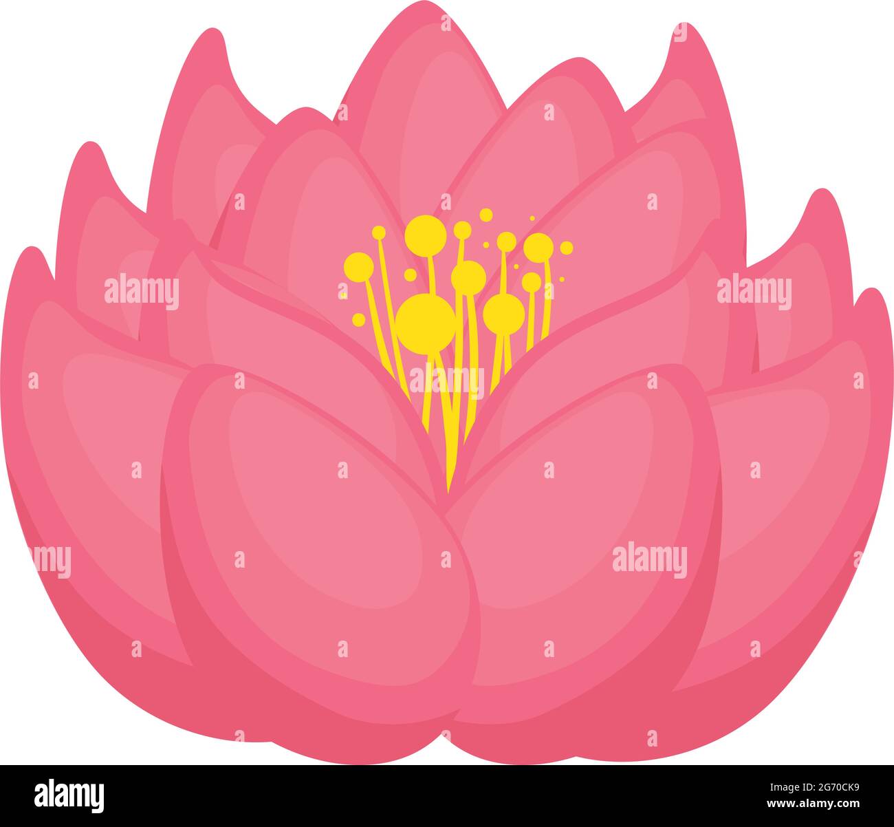pink lotus flower Stock Vector Image & Art - Alamy