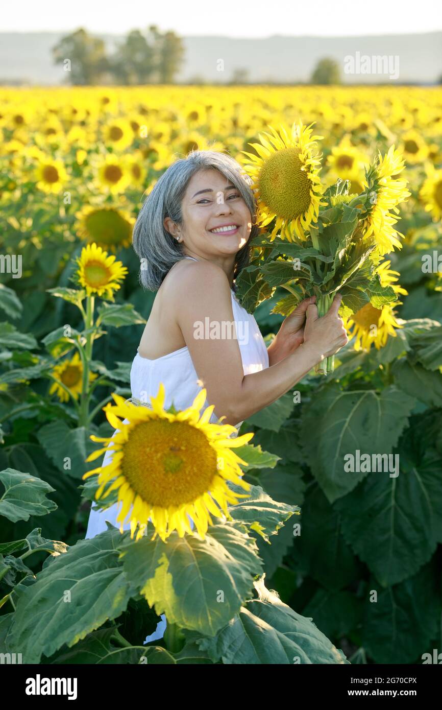 Woman in white dress standing in a field of sunflowers in summer bloom. Dixon, Solano County, California. Stock Photo
