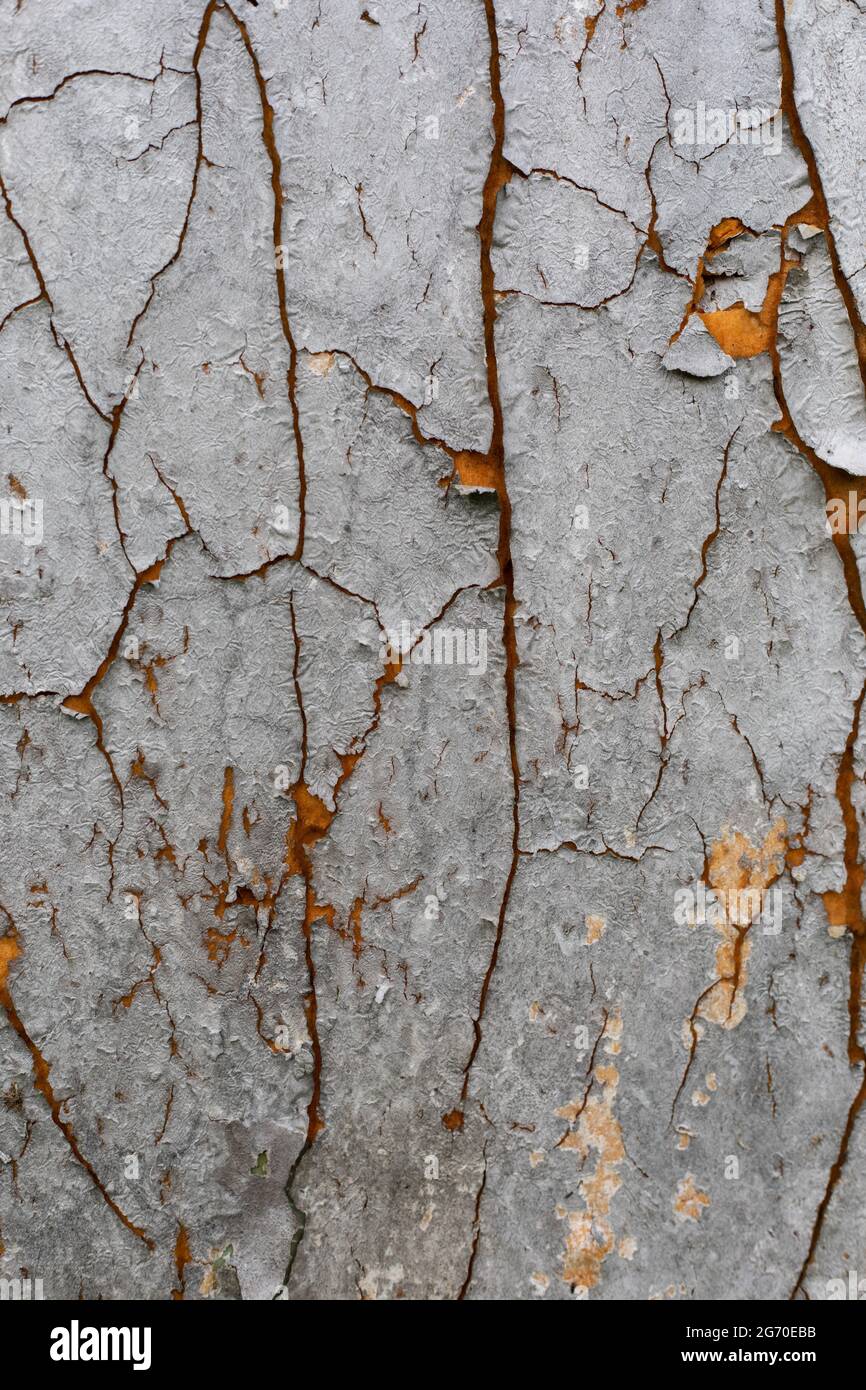 Cracked canvas texture hi-res stock photography and images - Alamy