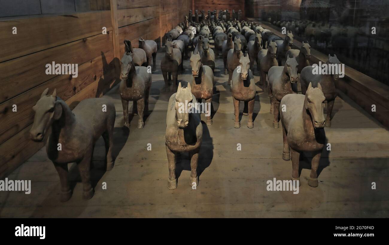 Flock of cavalry horses-terracotta funerary figurines-Han Yang Ling Mausoleum. Xianyang-Shaanxi-China-1498 Stock Photo