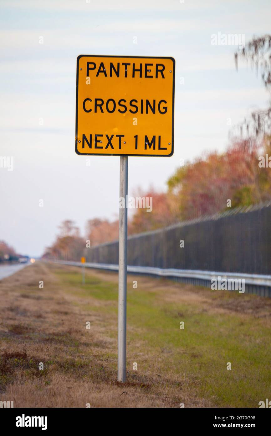 A sign on the side of a highway for a 1 miles panther crossing zone beside protective fencing, Florida panther national wildlife refuge, USA. Stock Photo