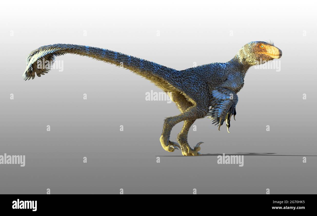 Prehistoric Jerboa Dinosaur Dino Is Jumping Raptor Animal Monster Stock  Illustration - Download Image Now - iStock