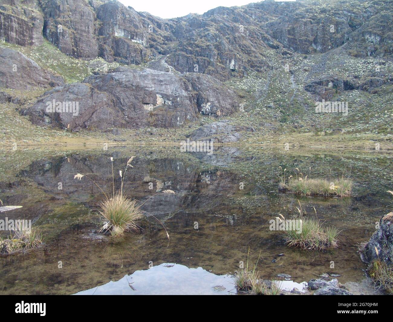 Beautiful view of a lake near mount Roraima in Southern America Stock ...