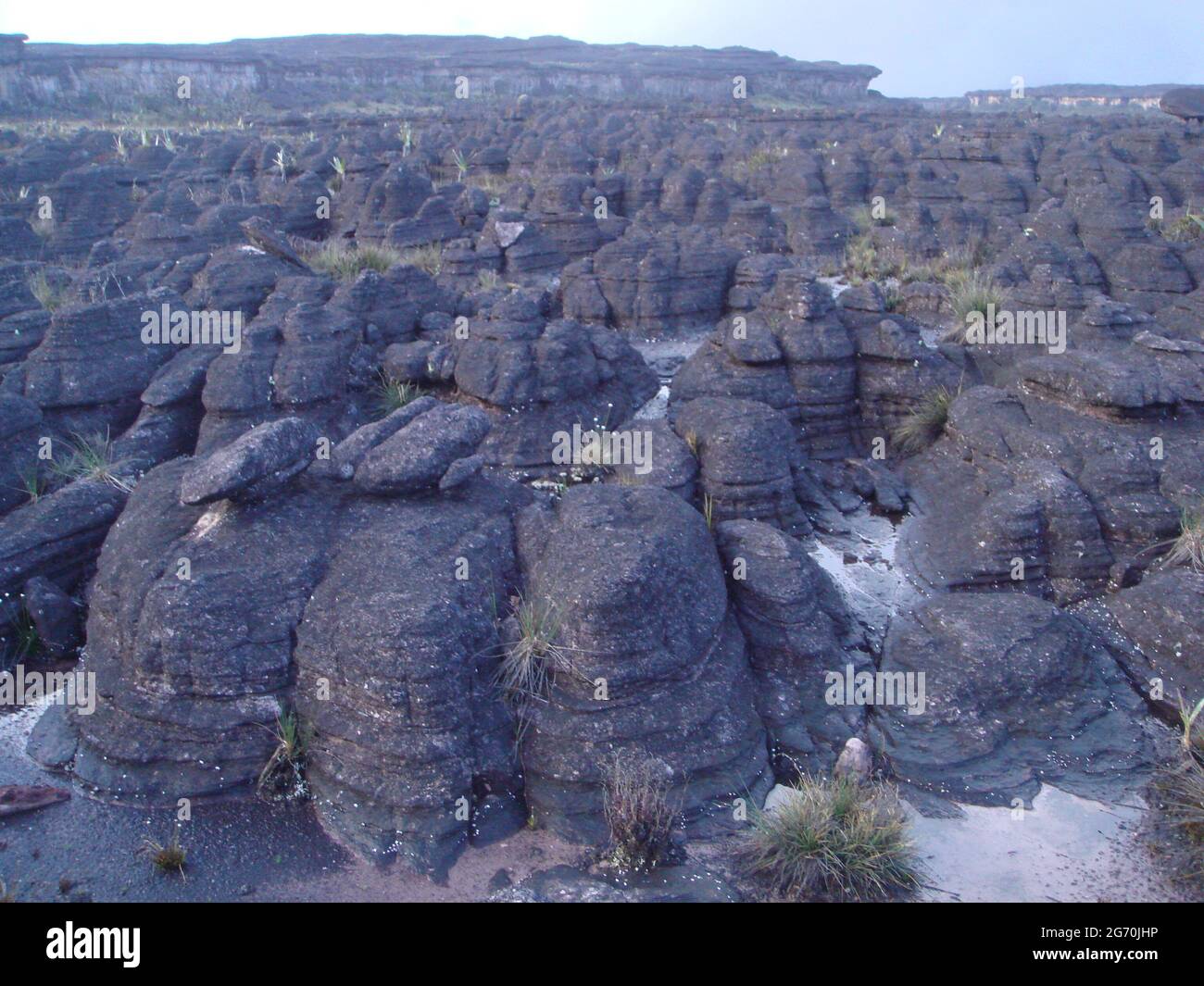 Beautiful view of mount Roraima in Southern America Stock Photo - Alamy