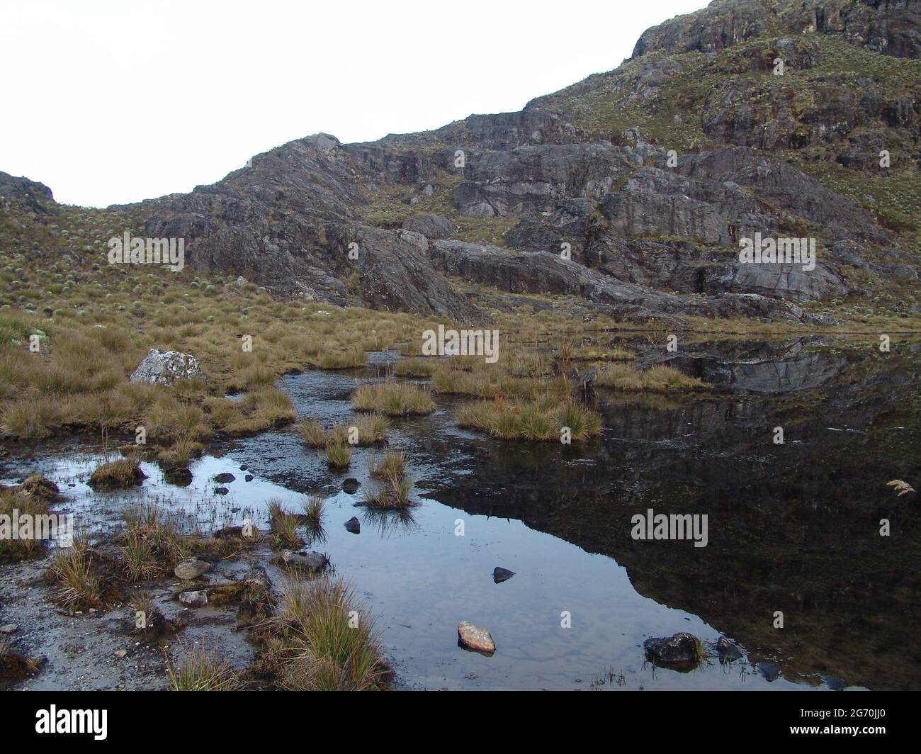 Beautiful view of mount Roraima in Southern America Stock Photo - Alamy