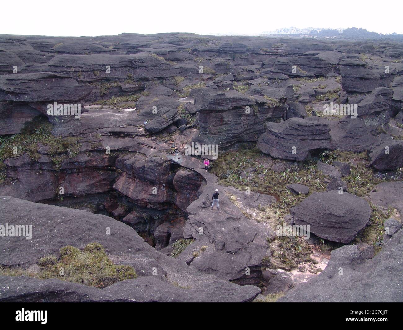 closeup shot of mount Roraima in Southern America Stock Photo - Alamy