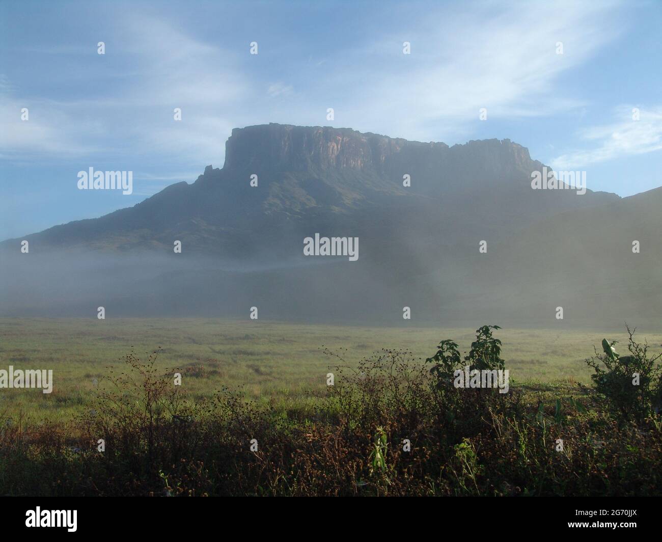 Beautiful view of mount Roraima in Southern America Stock Photo - Alamy