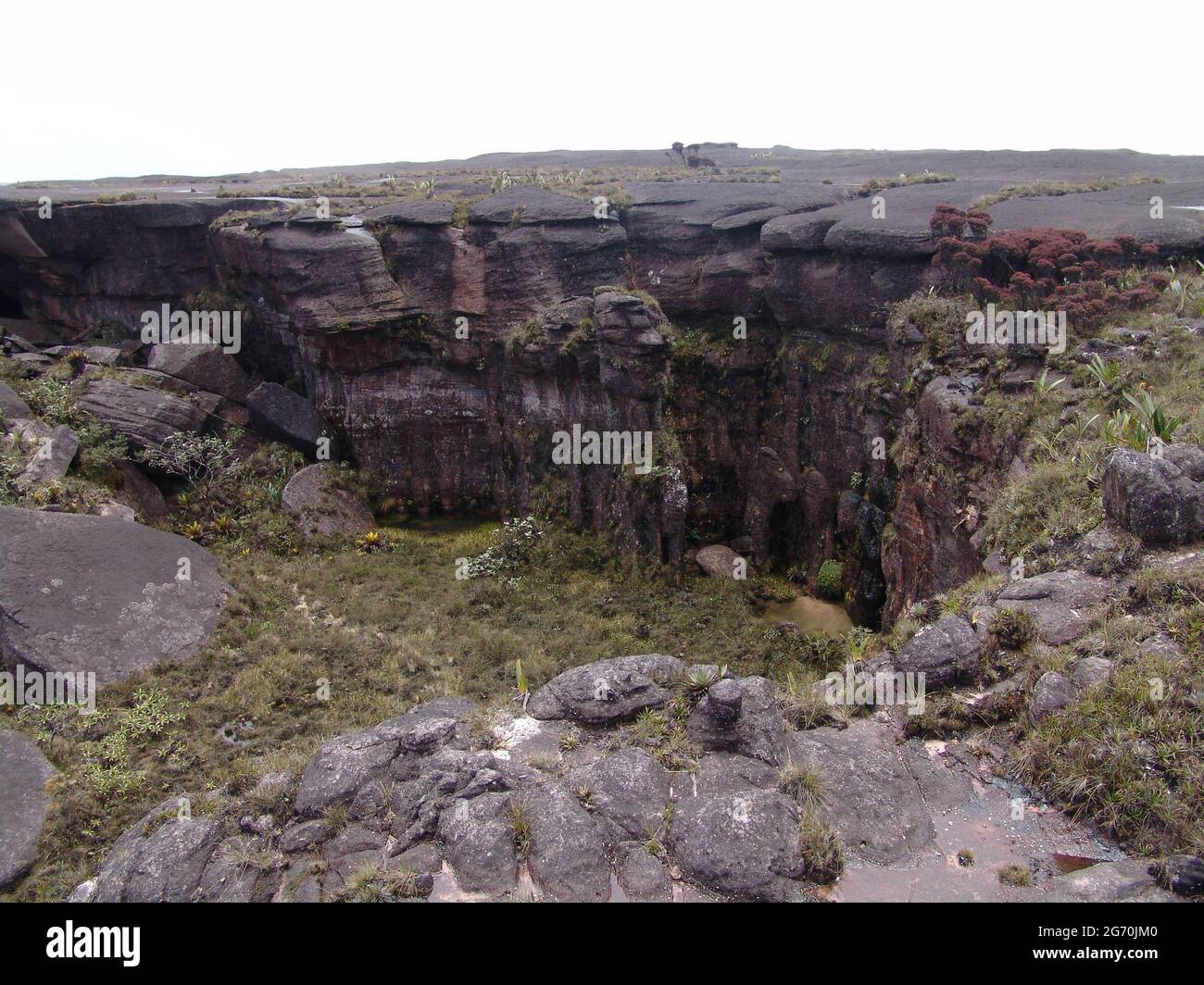 Beautiful view of mount Roraima on a gloomy day in Southern America ...
