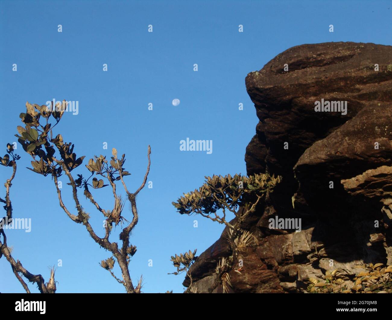 Beautiful view of mount Roraima in Southern America Stock Photo - Alamy