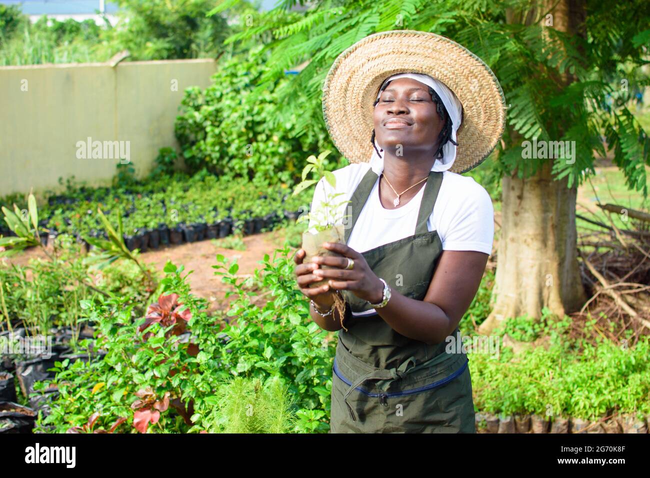 Happy African female gardener, florist or horticulturist wearing an apron and a hat, holding a bag of plant as she works in a green and colorful flowe Stock Photo