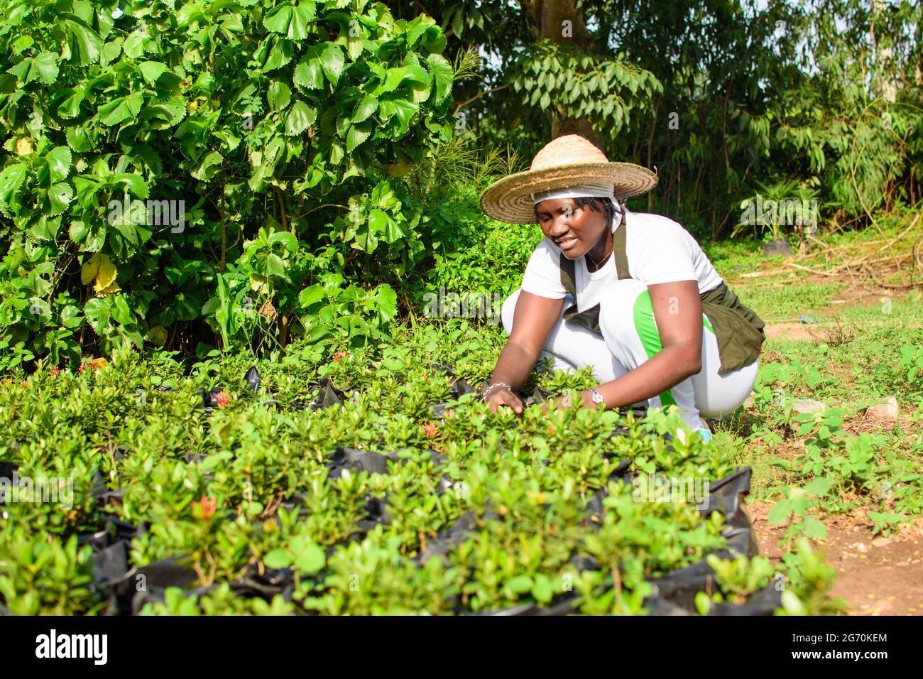 African female gardener, florist or horticulturist tending to flowers in a colorful garden Stock Photo