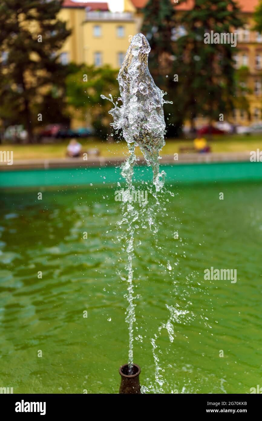 Vertical shot flower waterfall hi-res stock photography and images - Alamy
