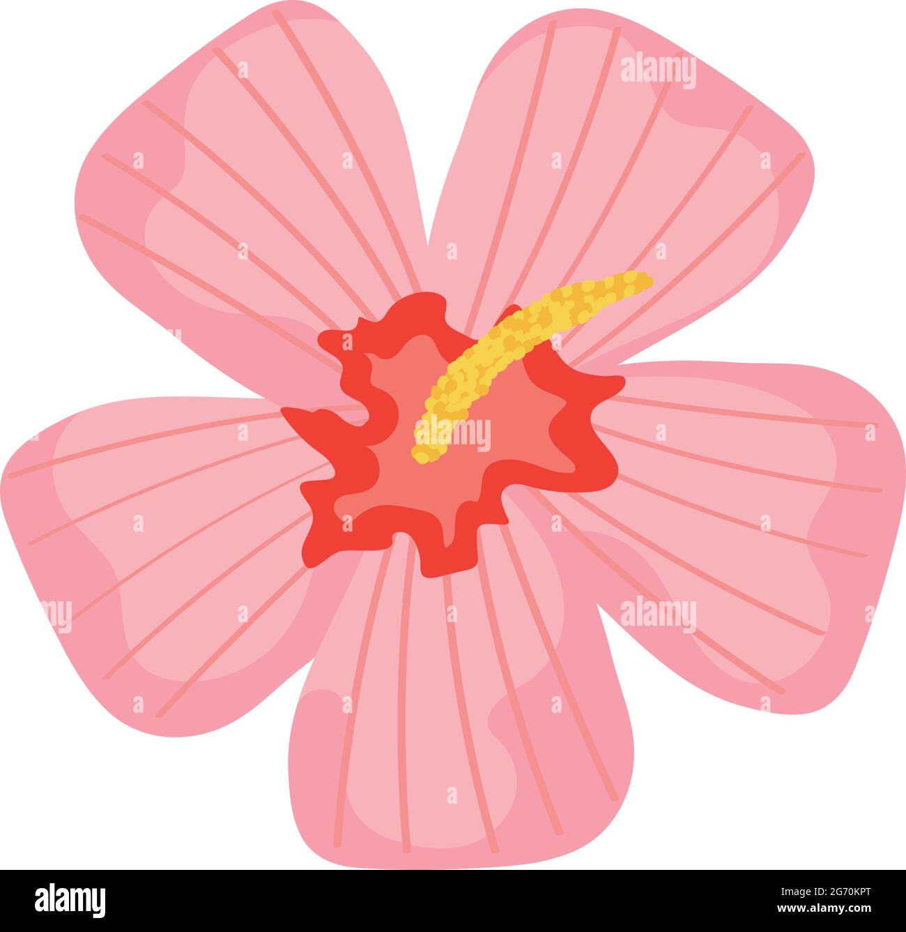 pink lotus flower Stock Vector Image & Art - Alamy