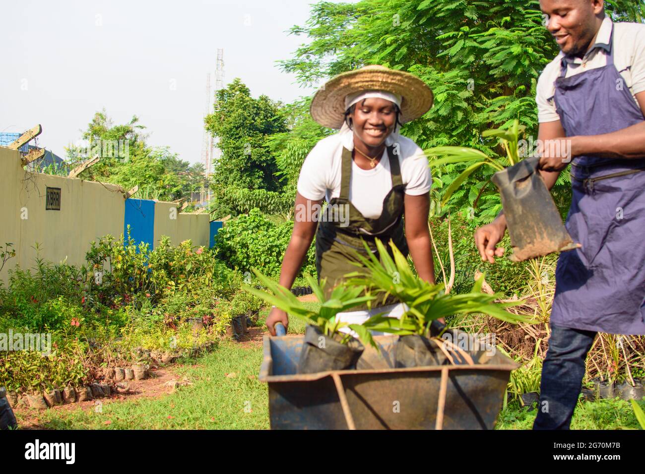 African female and male gardener, florist or horticulturists wearing apron and working together in a garden filled with variety of colorful flowers an Stock Photo