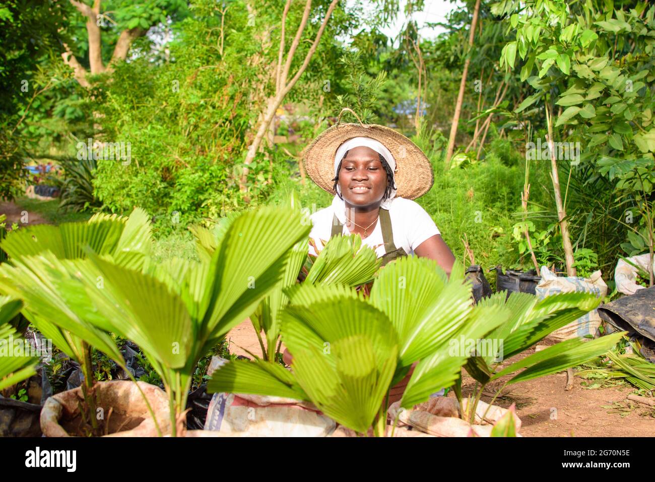 African female gardener, florist or horticulturist wearing an apron and a hat, working while squatting in a green and colorful flowers and plants gard Stock Photo