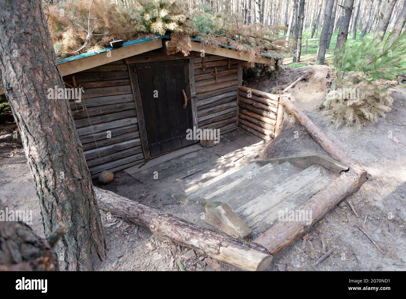 entrance to the dugout, dugout in the summer forest Stock Photo
