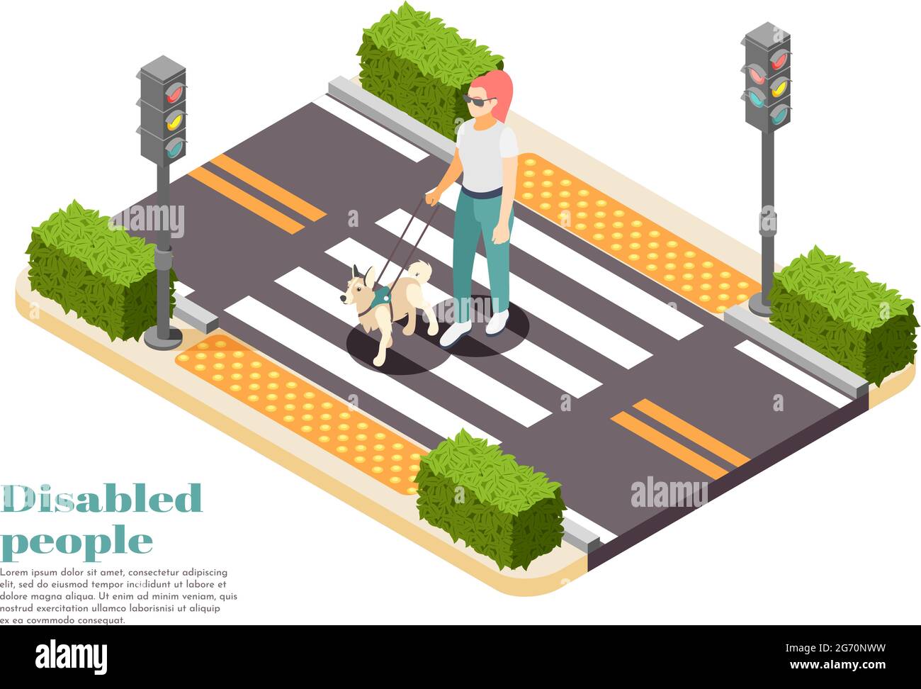 Disabled people isometric background with dog guide taking blind woman across road vector illustration Stock Vector