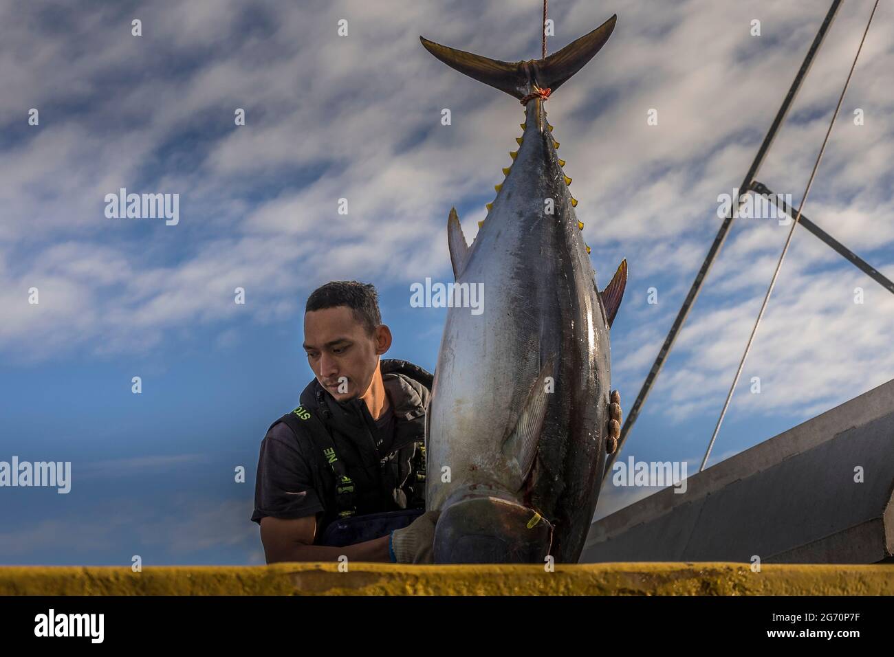 Tuna fishing in Bermagui, New South Wales, Australia Stock Photo Alamy