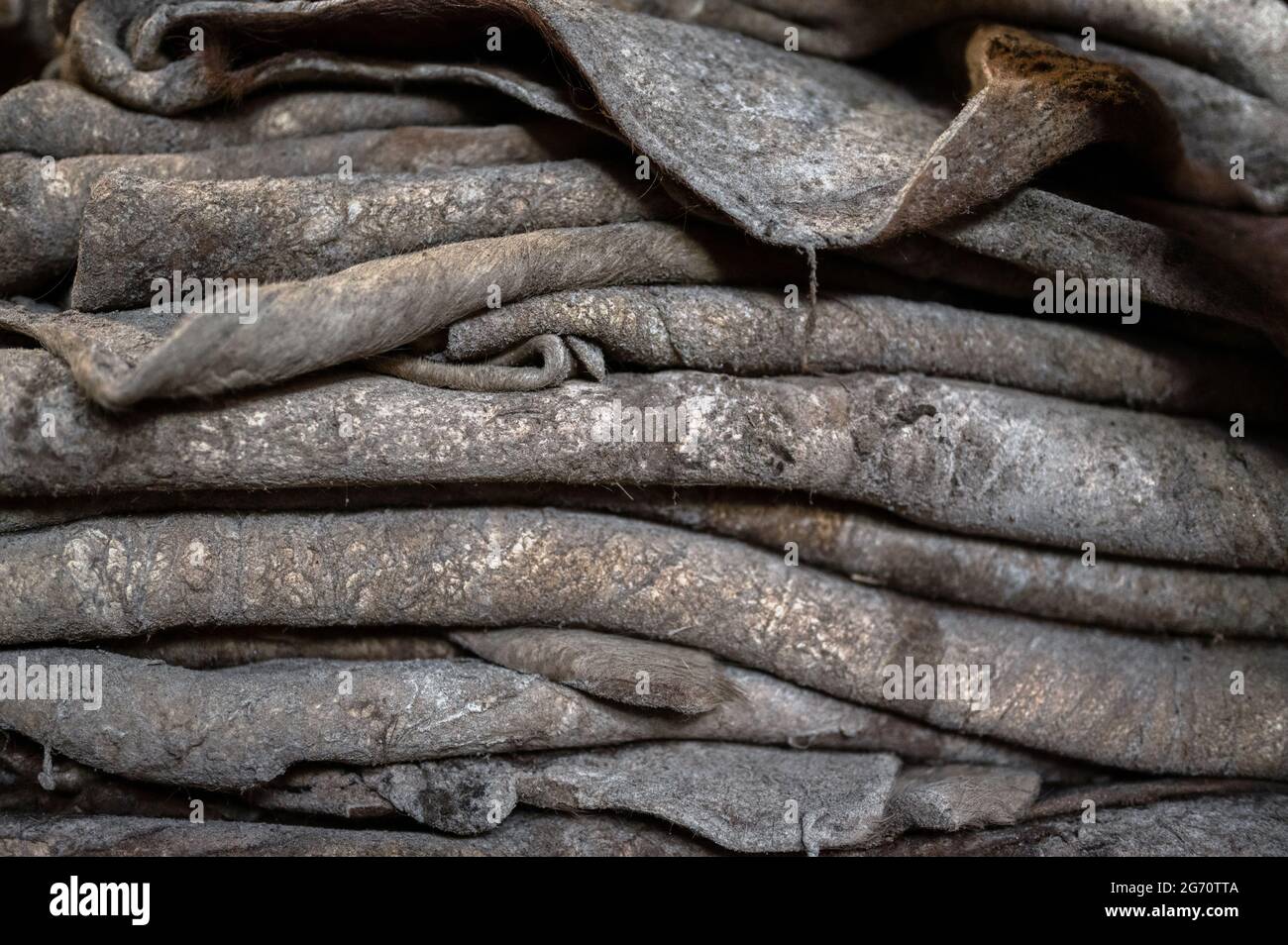 Raw salted cow skins are piled up. Stock Photo