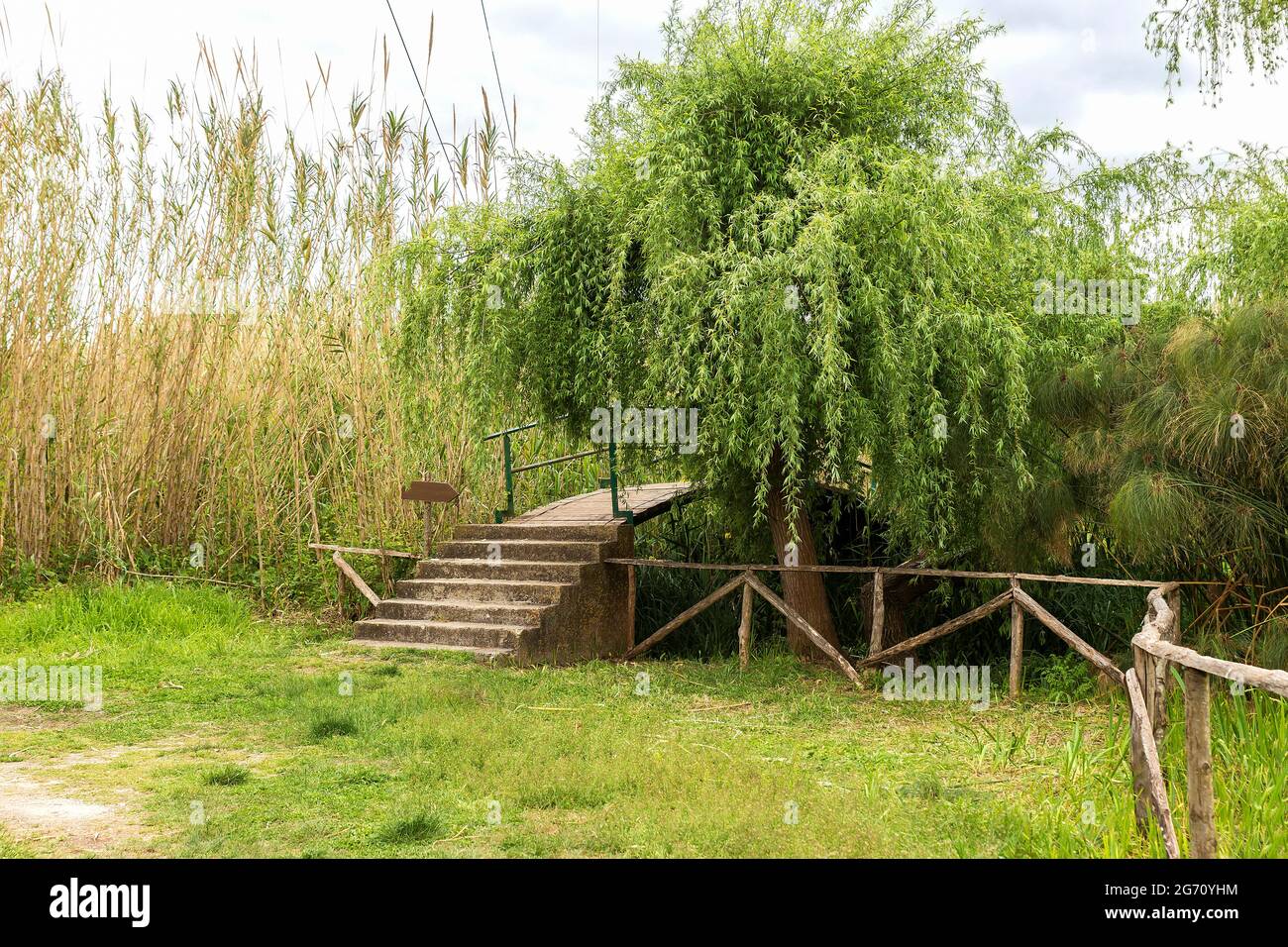 riserva naturale orientata fiume ciane e saline di siracusa