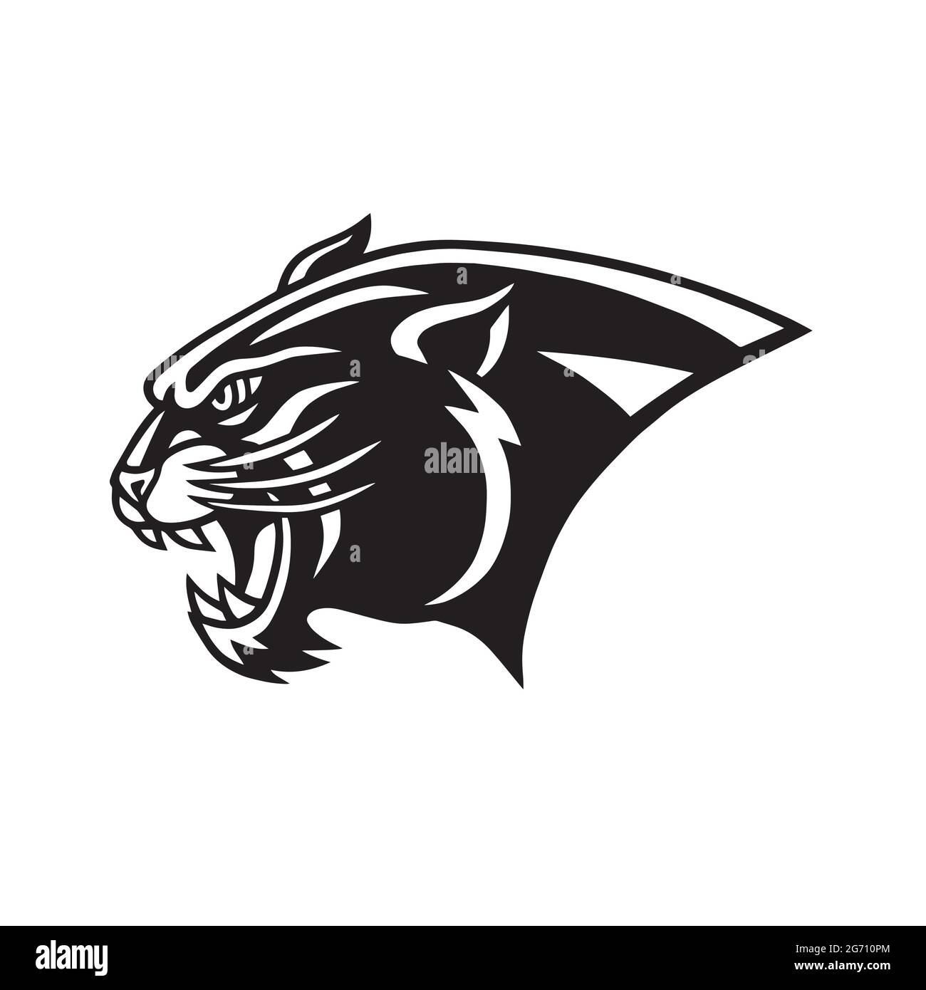 Panther School Mascot High Resolution Stock Photography and Images - Alamy