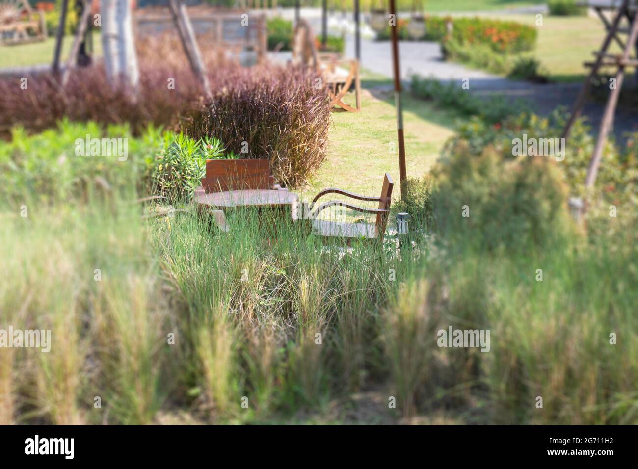 Summer garden with green leaves plant, stock photo Stock Photo - Alamy