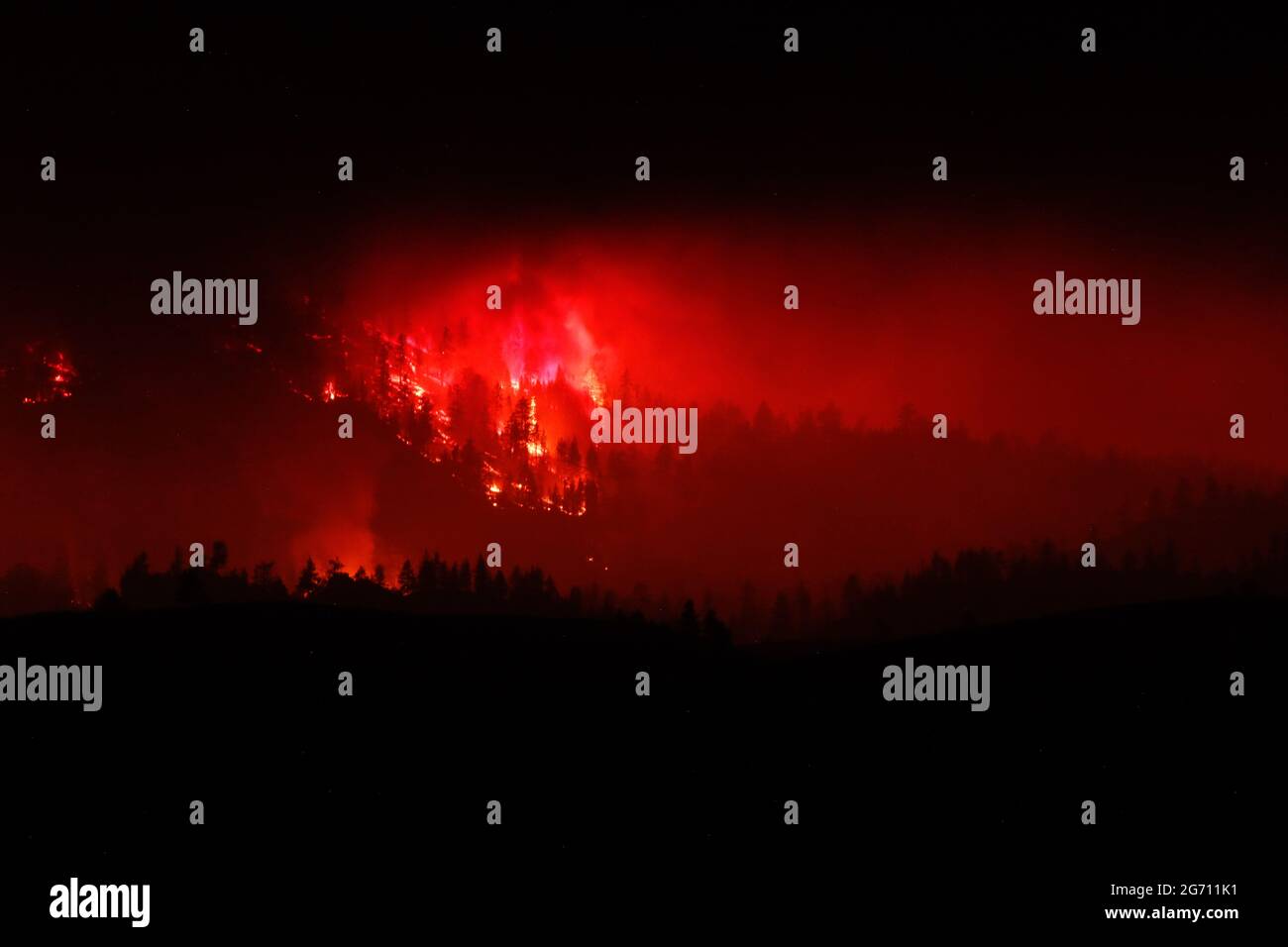 Trees burning as the Beckwourth Complex fire approaches hwy 395. The