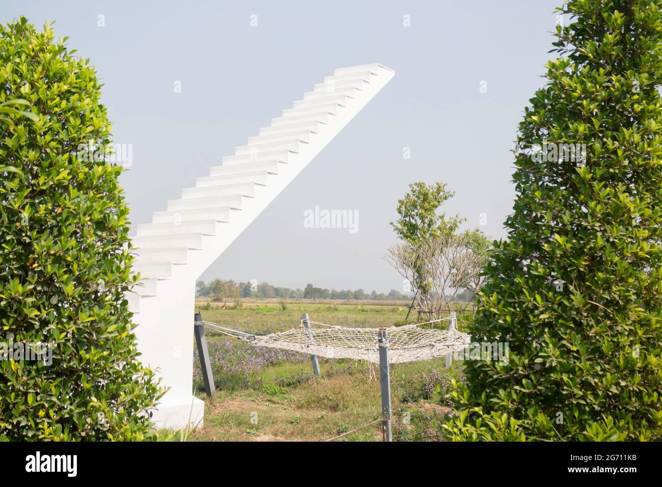 Summer garden with green leaves plant, stock photo Stock Photo - Alamy