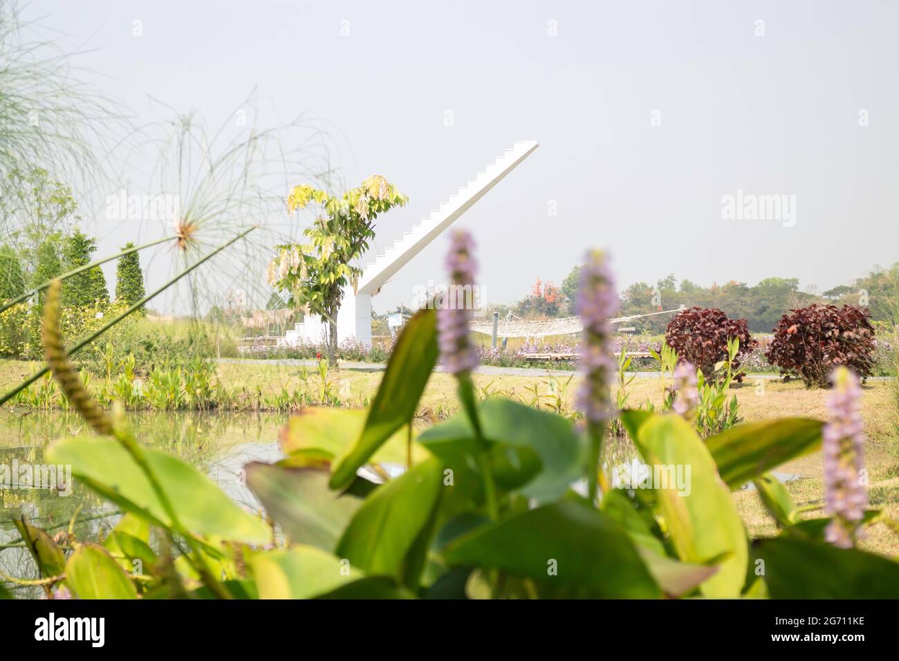 Summer garden with green leaves plant, stock photo Stock Photo - Alamy