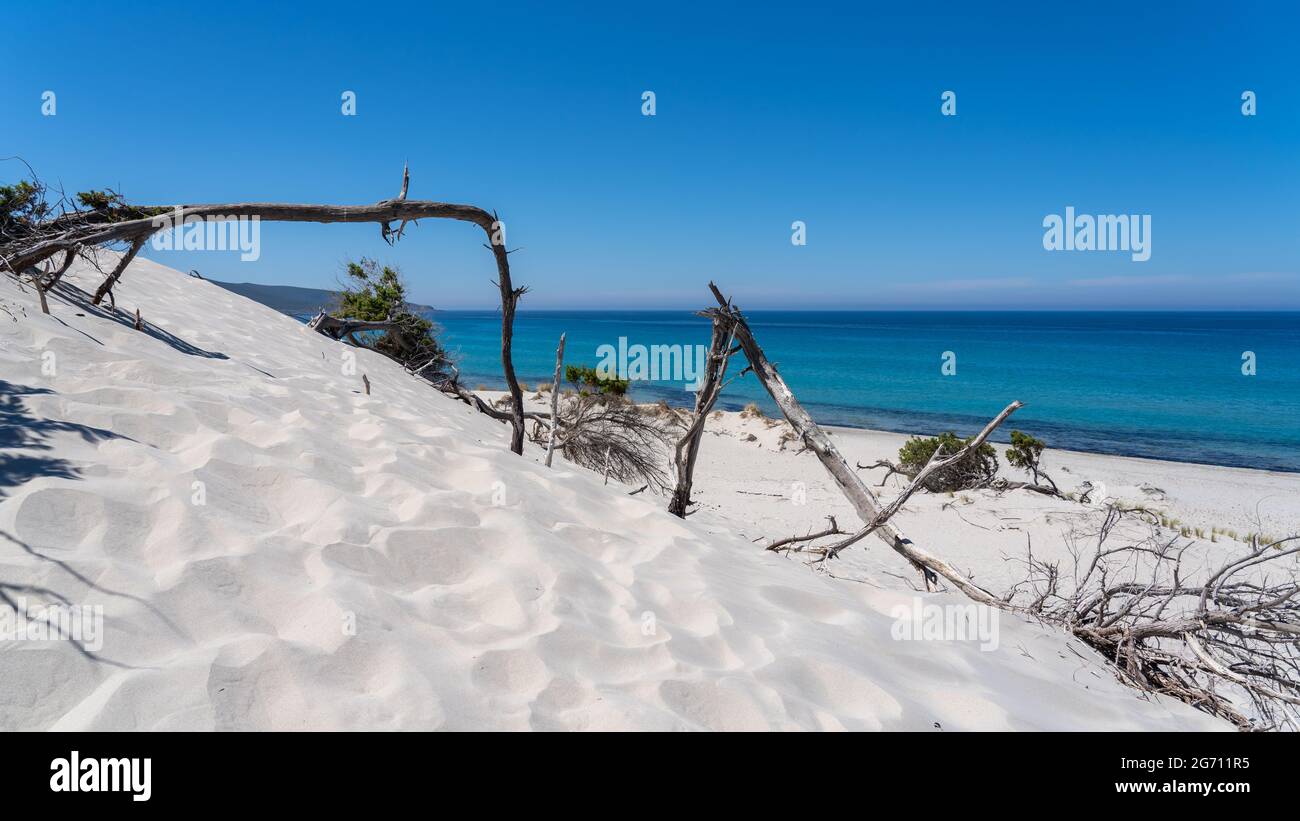 The wonderful white sand dunes of Porto Pino in Sardinia, Italy. Wild and uncontaminated environment. Tourist destination. Wonders of nature Stock Photo