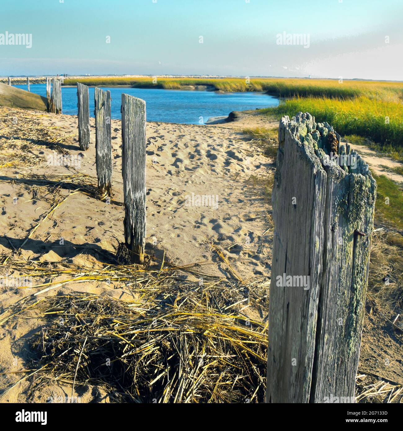 Cape Cod wetland area with row of rustic posts leading away Stock Photo ...