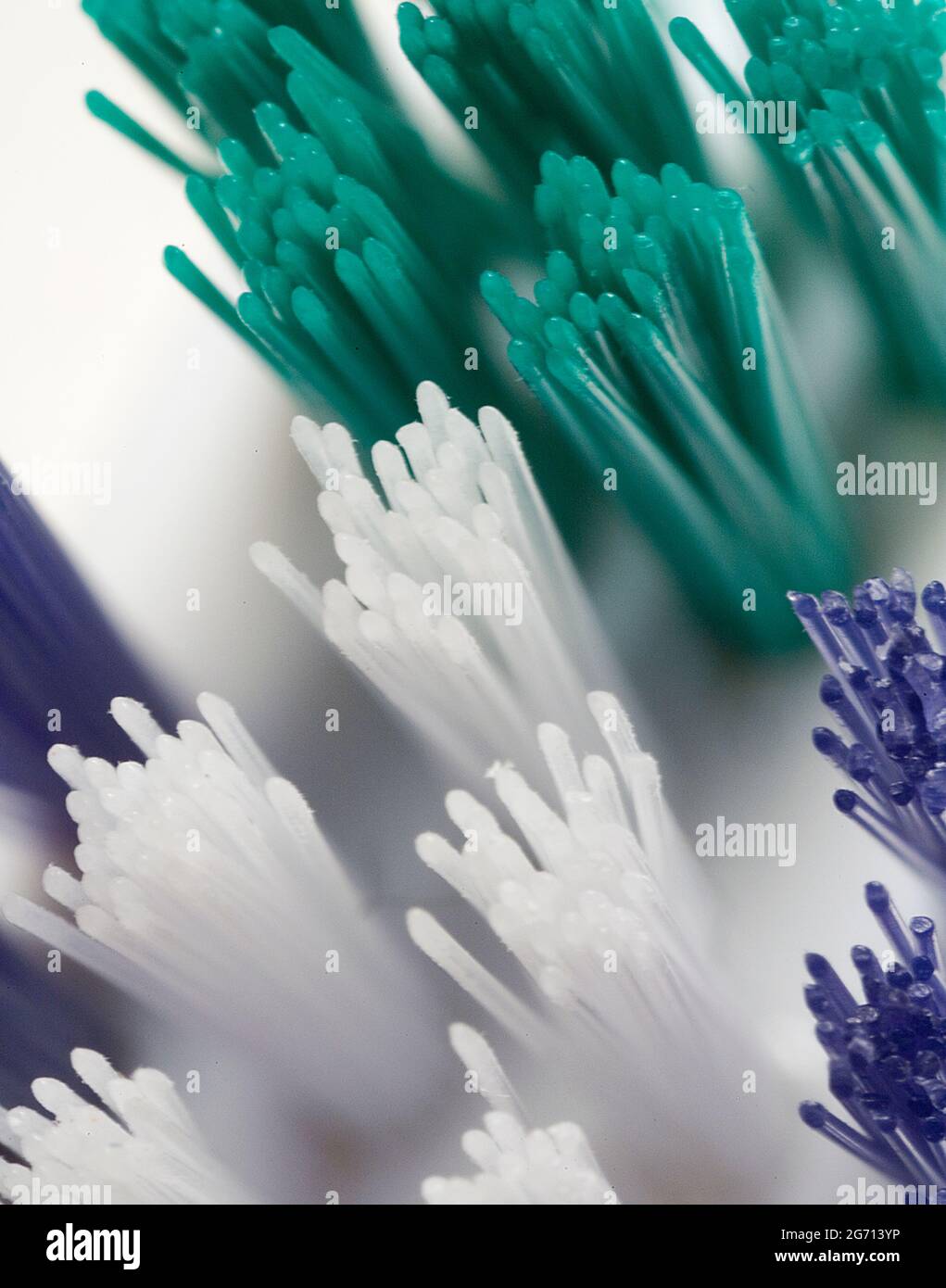 Close up detail toothbrush bristles Stock Photo - Alamy