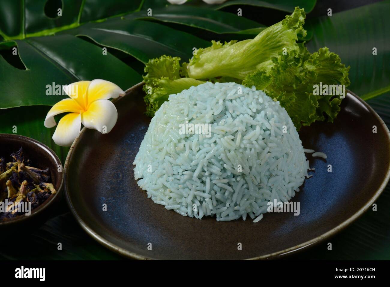 Blue Rice made from Butterfly Pea flower(Asian pigeonwings Stock Photo