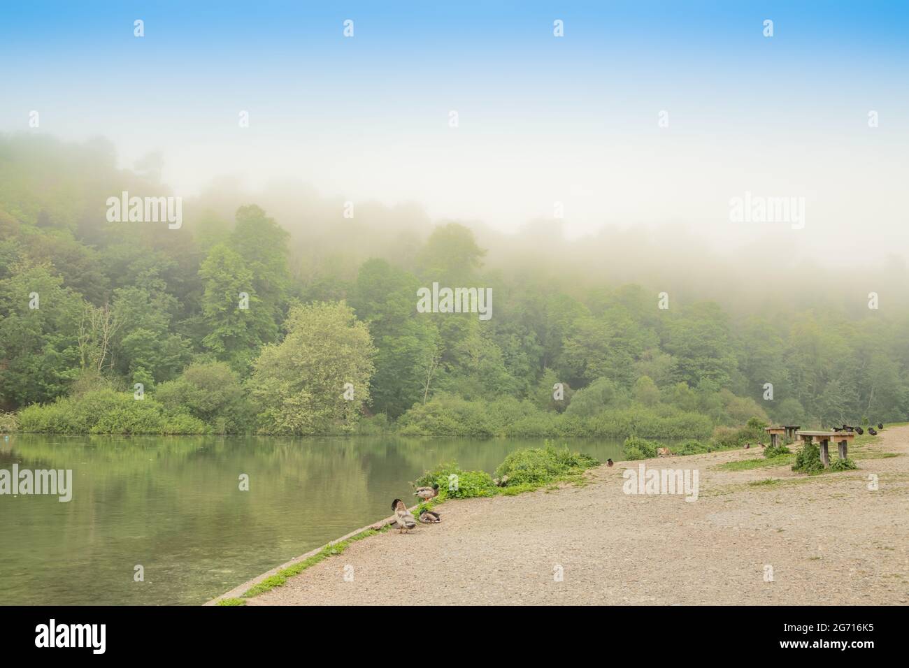 Lake in a park on foggy day Stock Photo - Alamy