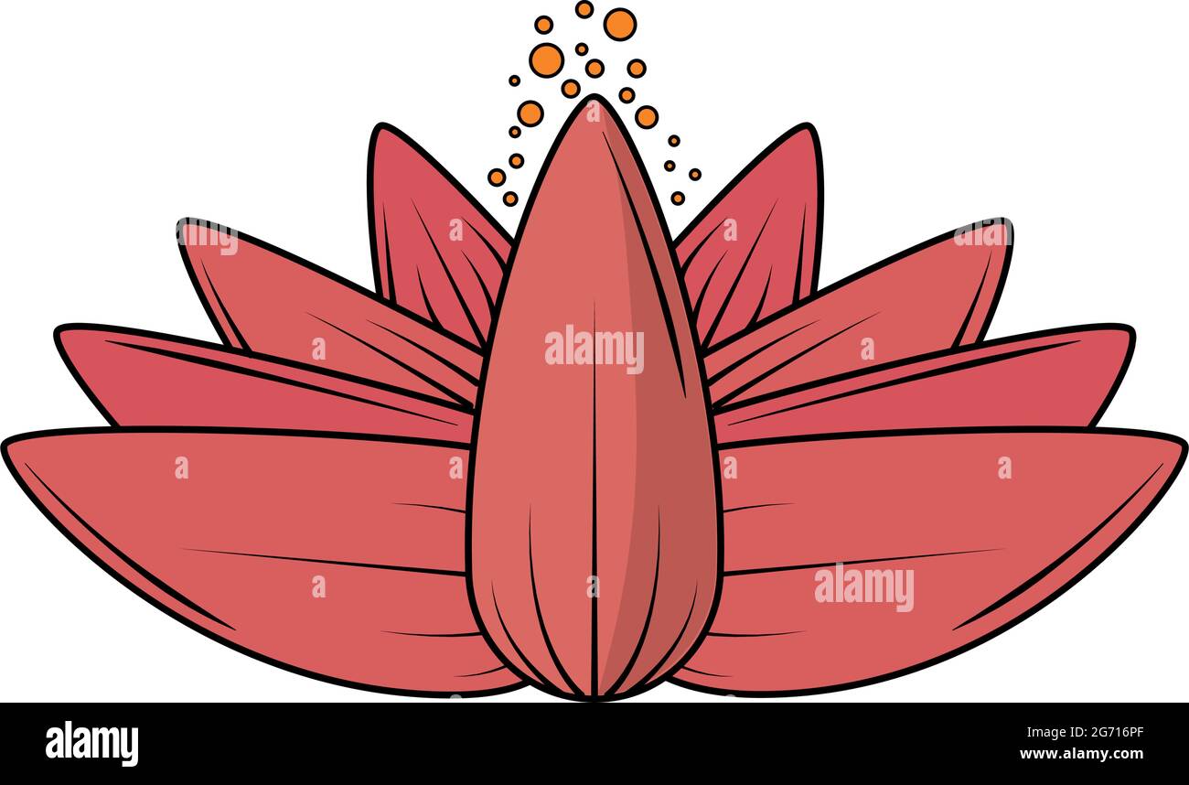 pink lotus flower Stock Vector Image & Art - Alamy