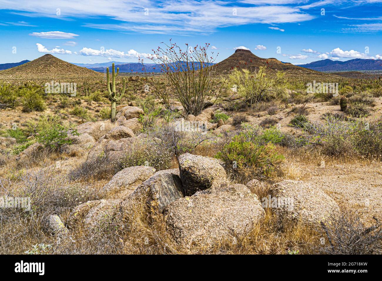 Sonoran desert landscape in Scottsdale, Arizona Stock Photo - Alamy