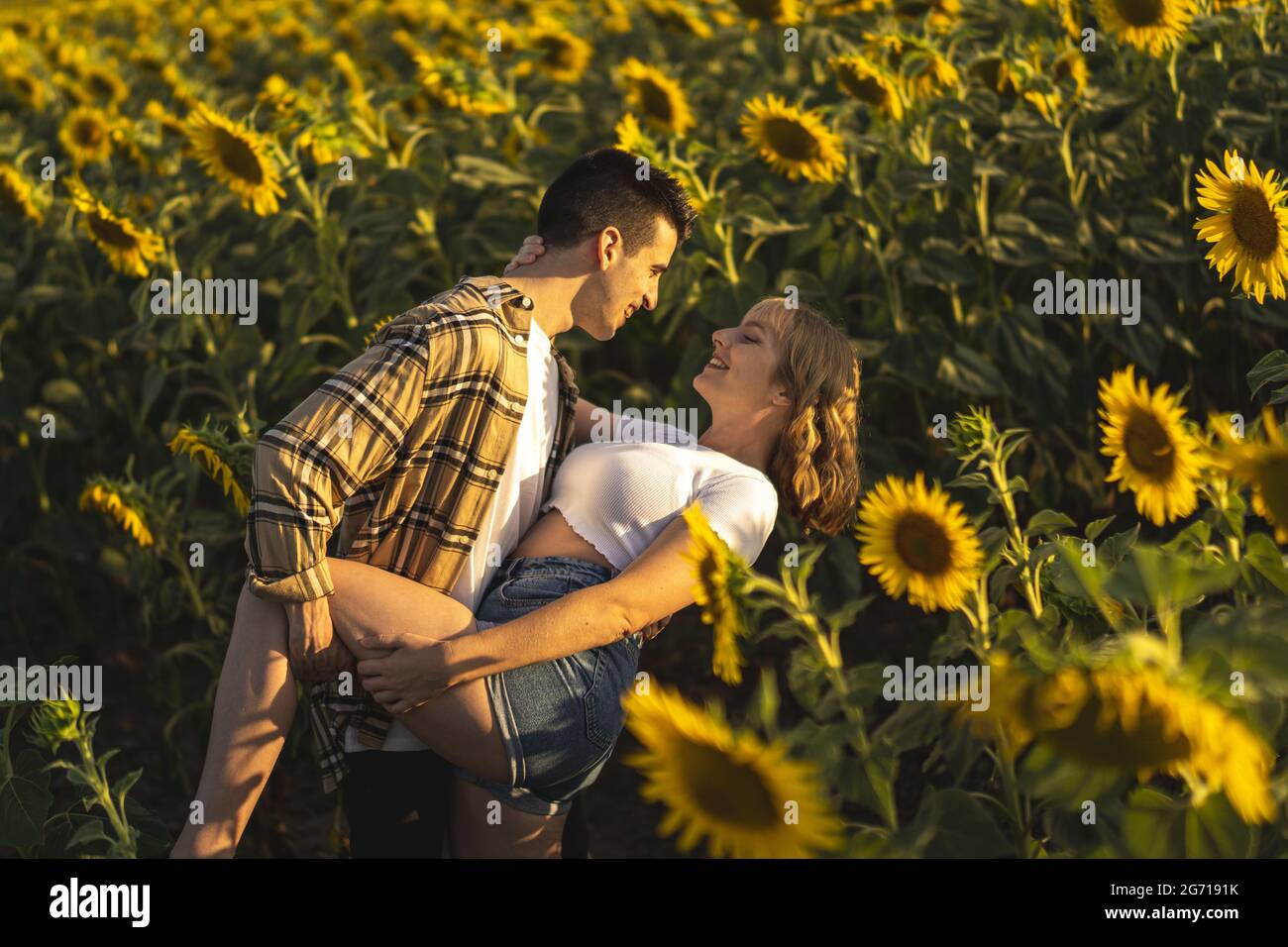Closeup shot of a Caucasian lovely couple at the sunflowers field in ...